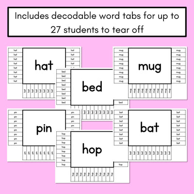 READ THE ROOM - Decodable Words Phonics Activity - CVC Mixed Words