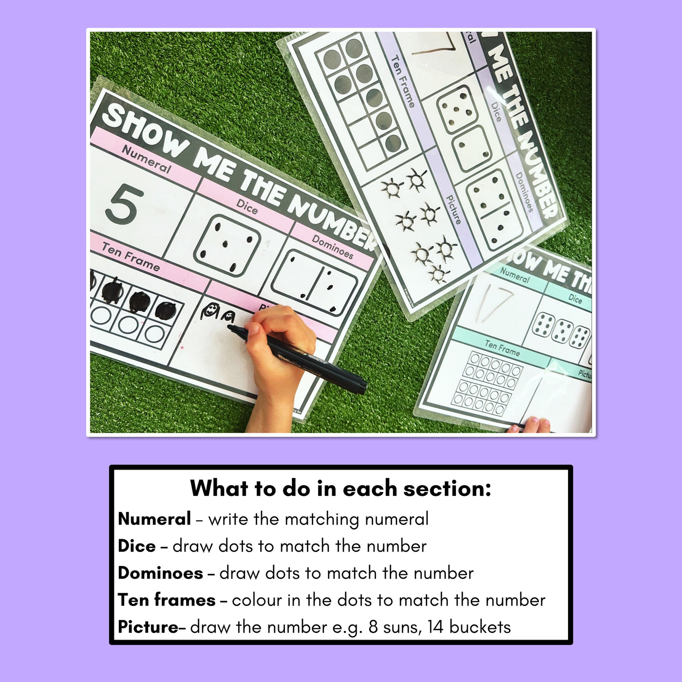 SHOW ME THE NUMBER MATS for 1-20: Numerals, Dice, Dominoes, Ten Frames & Pictures