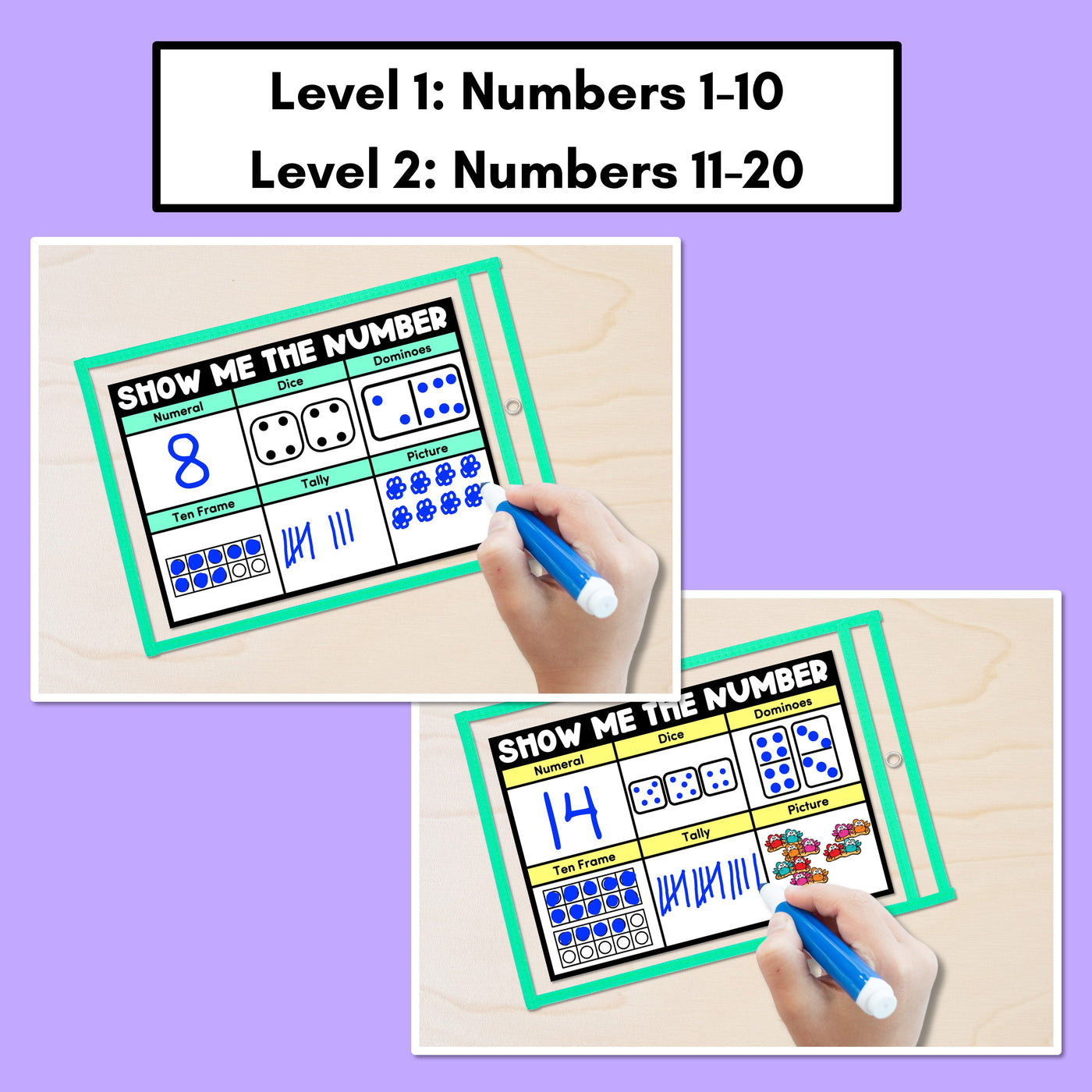 SHOW ME THE NUMBER MATS for 1-20: Numerals, Dice, Dominoes, Ten Frames, Tallies & Pictures