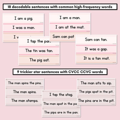 Neutral CVC CVCC CCVC Decodable Words and Sentence Cards - Set 1 - s a t p i n m g - FREE