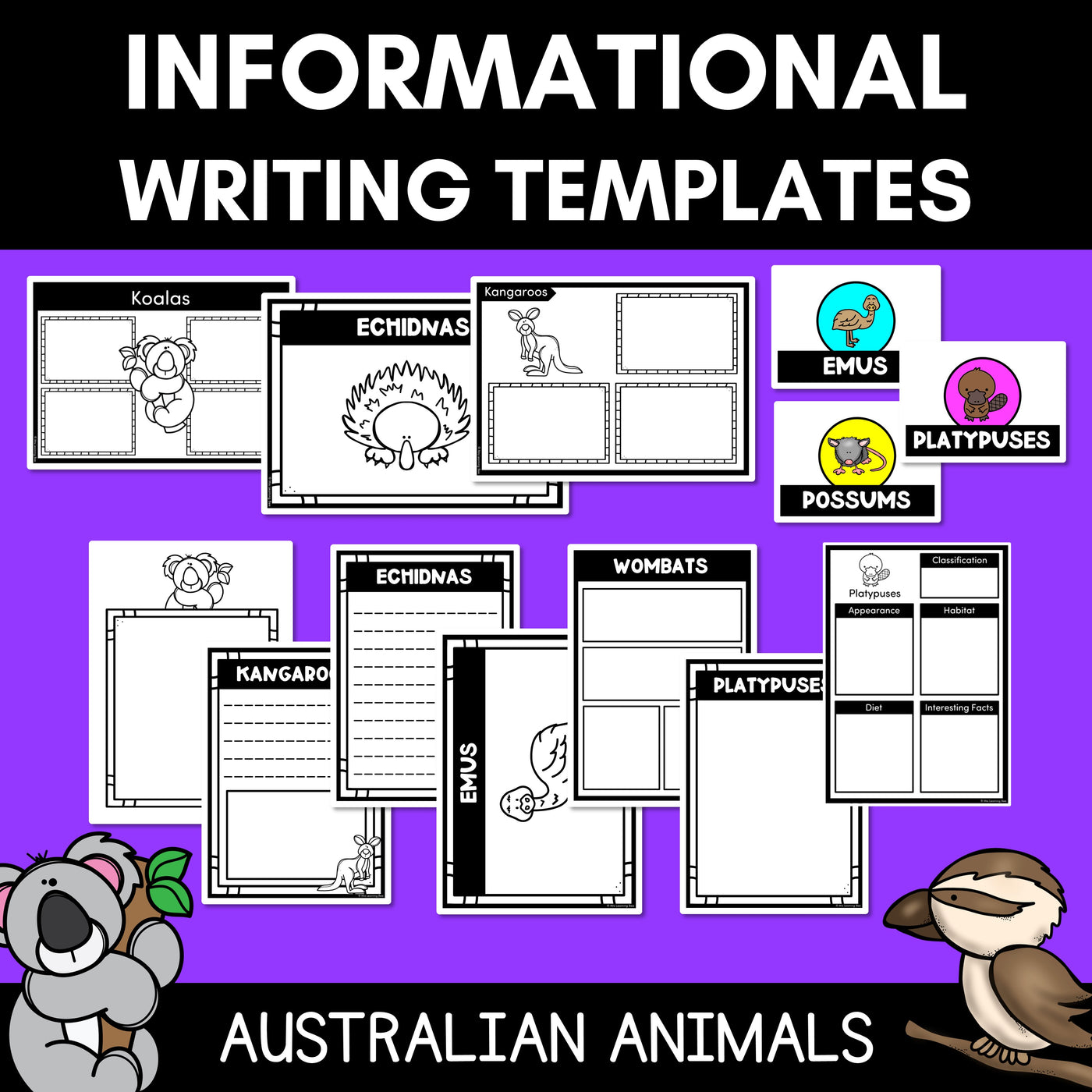 INFORMATIVE TEXT WRITING TEMPLATES - Australian Animals Writing Templates