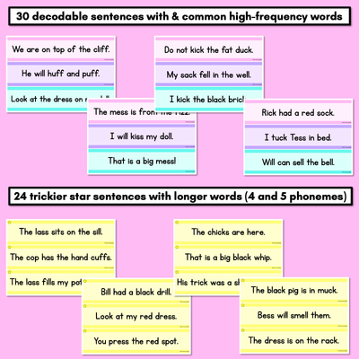 Consonant Digraphs LL SS FF ZZ CK Decodable Words and Sentence Cards