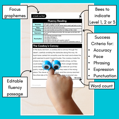 Editable Differentiated Decodable Fluency Texts - oi (soil), oy (toy)