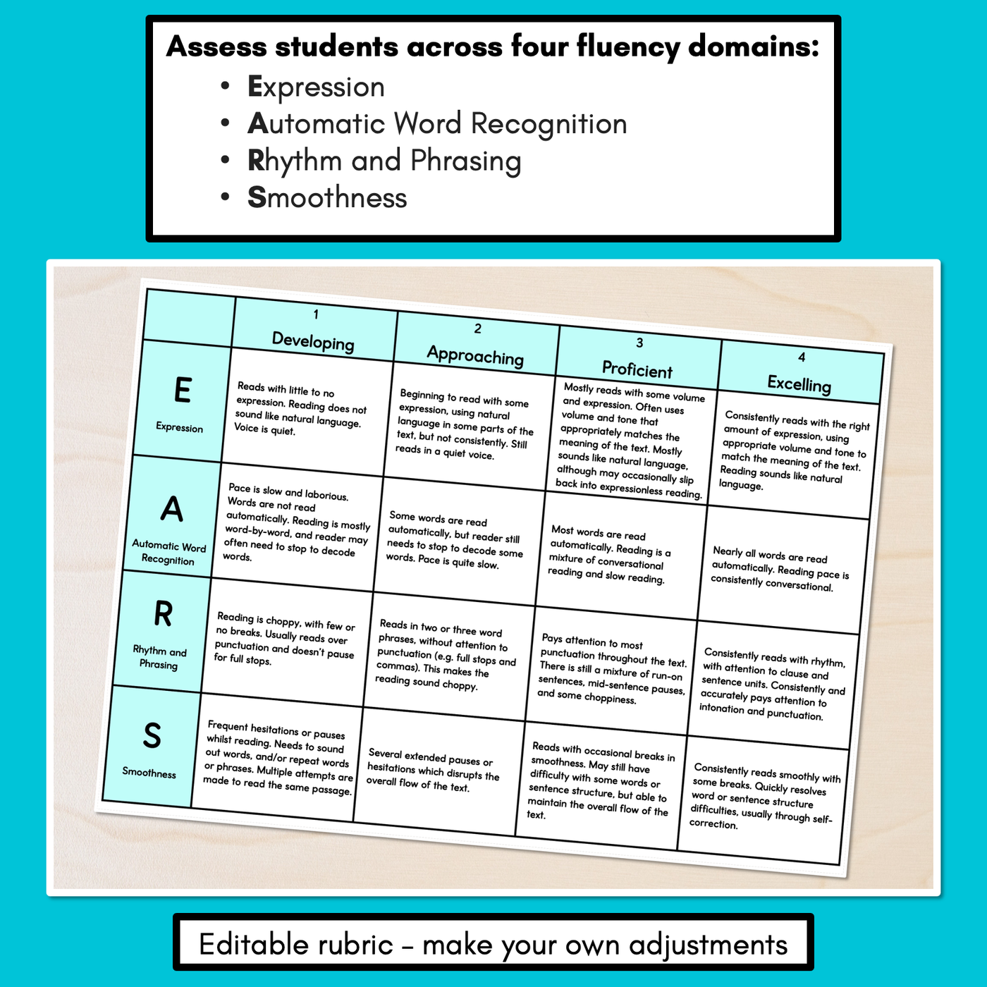 Reading Fluency Rubric - Editable EARS Assessment