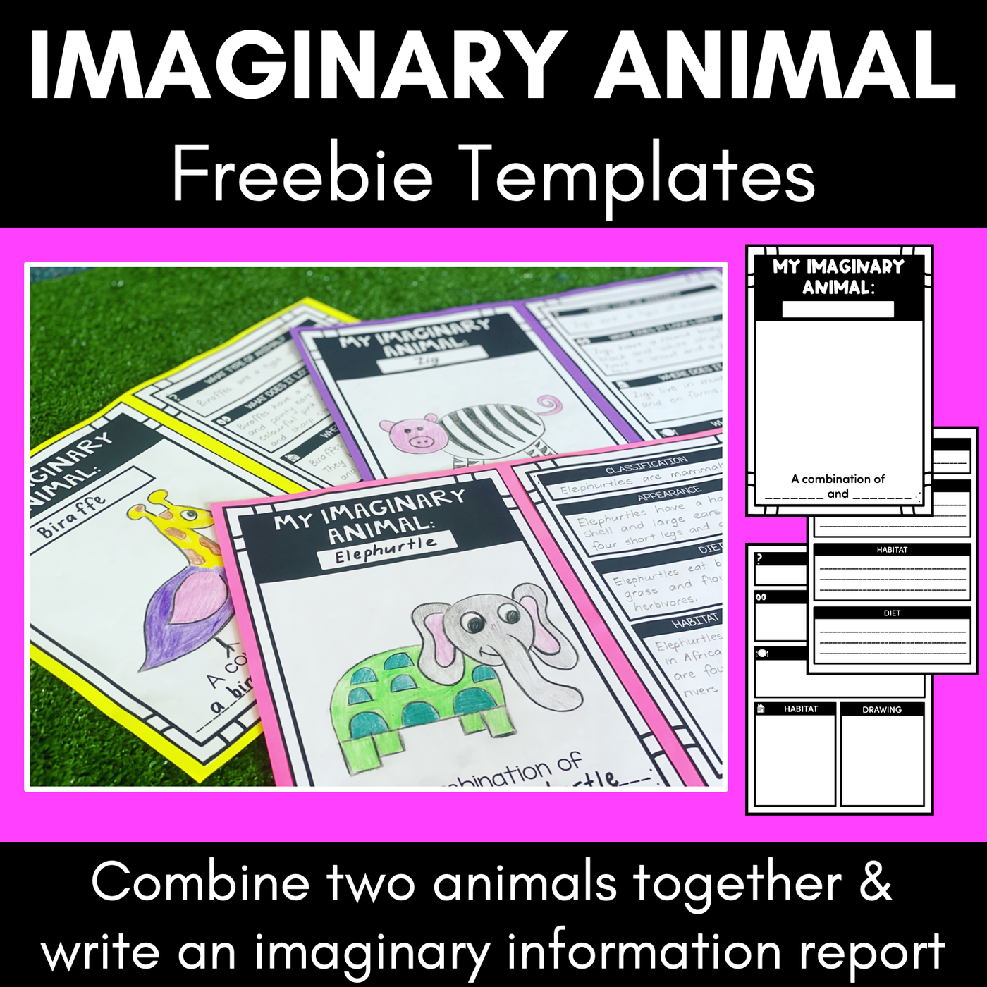 Imaginary Animal Informative Text Templates