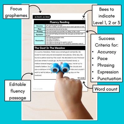 Editable Differentiated Decodable Fluency Texts - oa (boat), ow (slow)