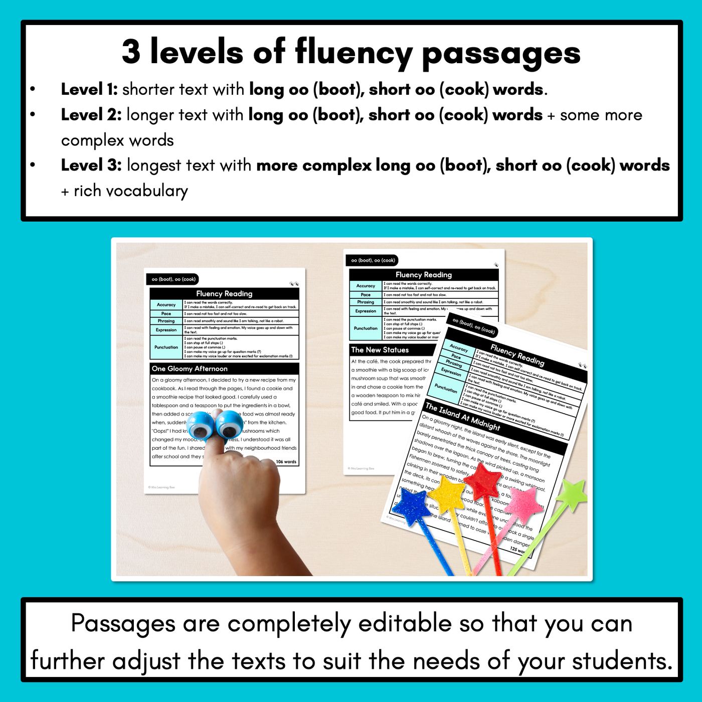 Editable Differentiated Decodable Fluency Texts - long oo (boot), short oo (cook)