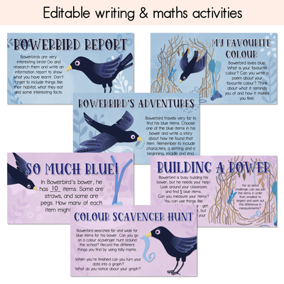 Bowerbird Blues National Simultaneous Storytime - Writing, Maths & Design Prompt EDITABLE SLIDES