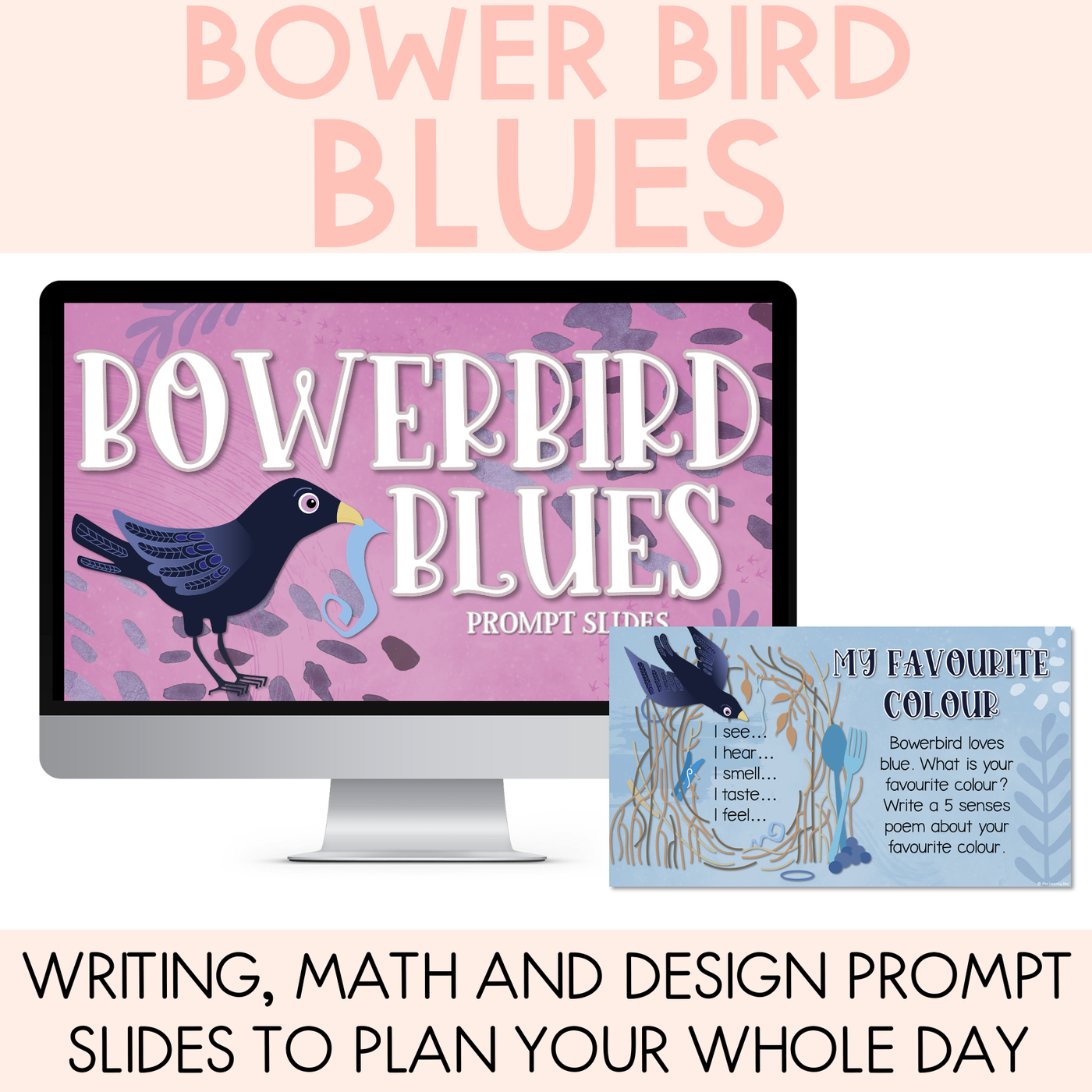 Bowerbird Blues National Simultaneous Storytime - Writing, Maths & Design Prompt EDITABLE SLIDES