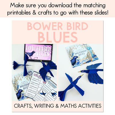 Bowerbird Blues National Simultaneous Storytime - Writing, Maths & Design Prompt EDITABLE SLIDES