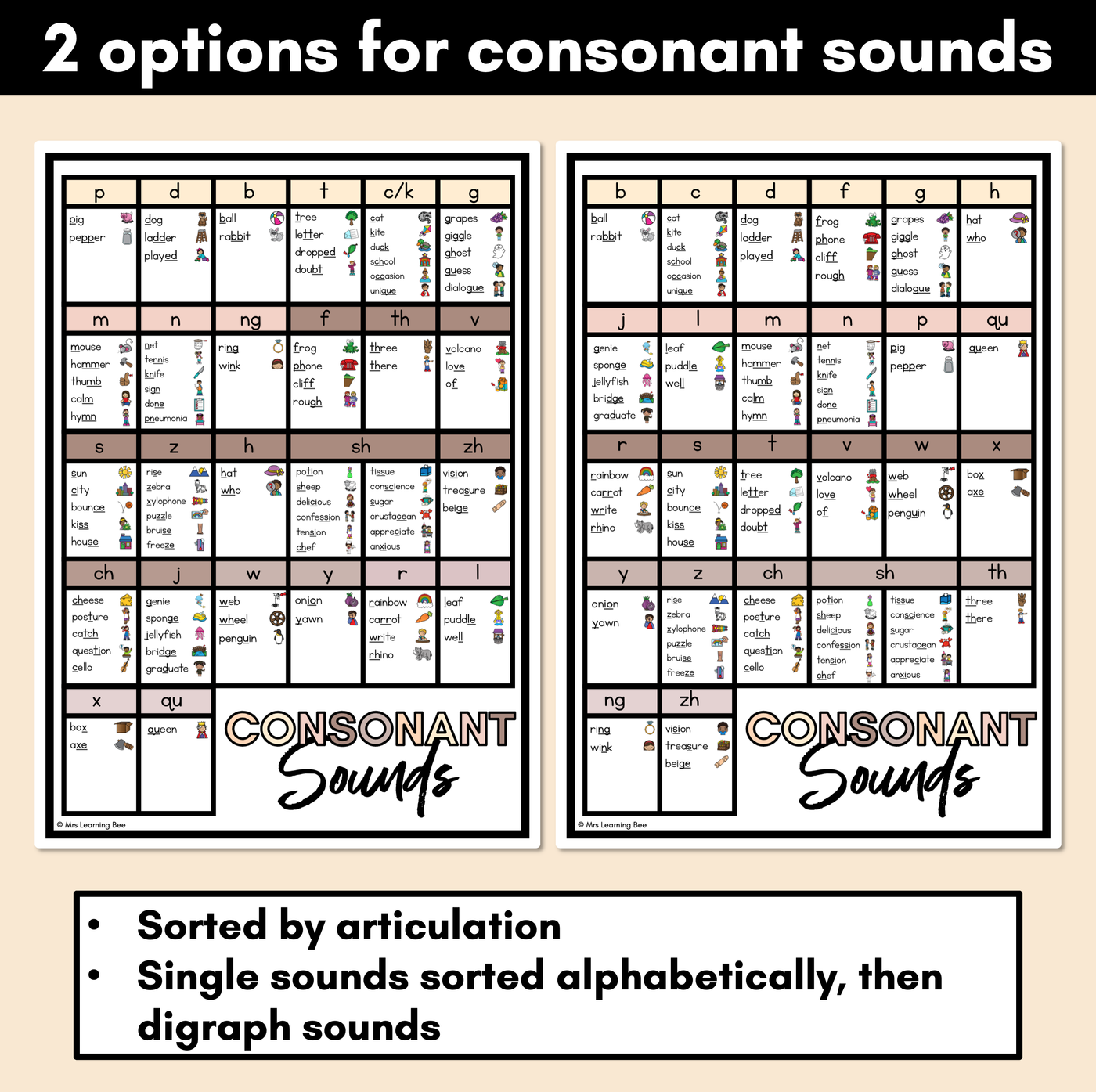 Phonics Sound Charts - Mini Sound Wall - NEUTRAL