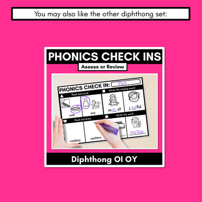 PHONICS CHECK INS - Diphthong OU OW - No Prep Phonics Assessments