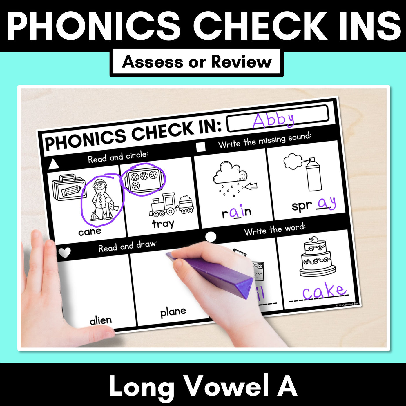 PHONICS CHECK INS - Long Vowel A - No Prep Phonics Assessments