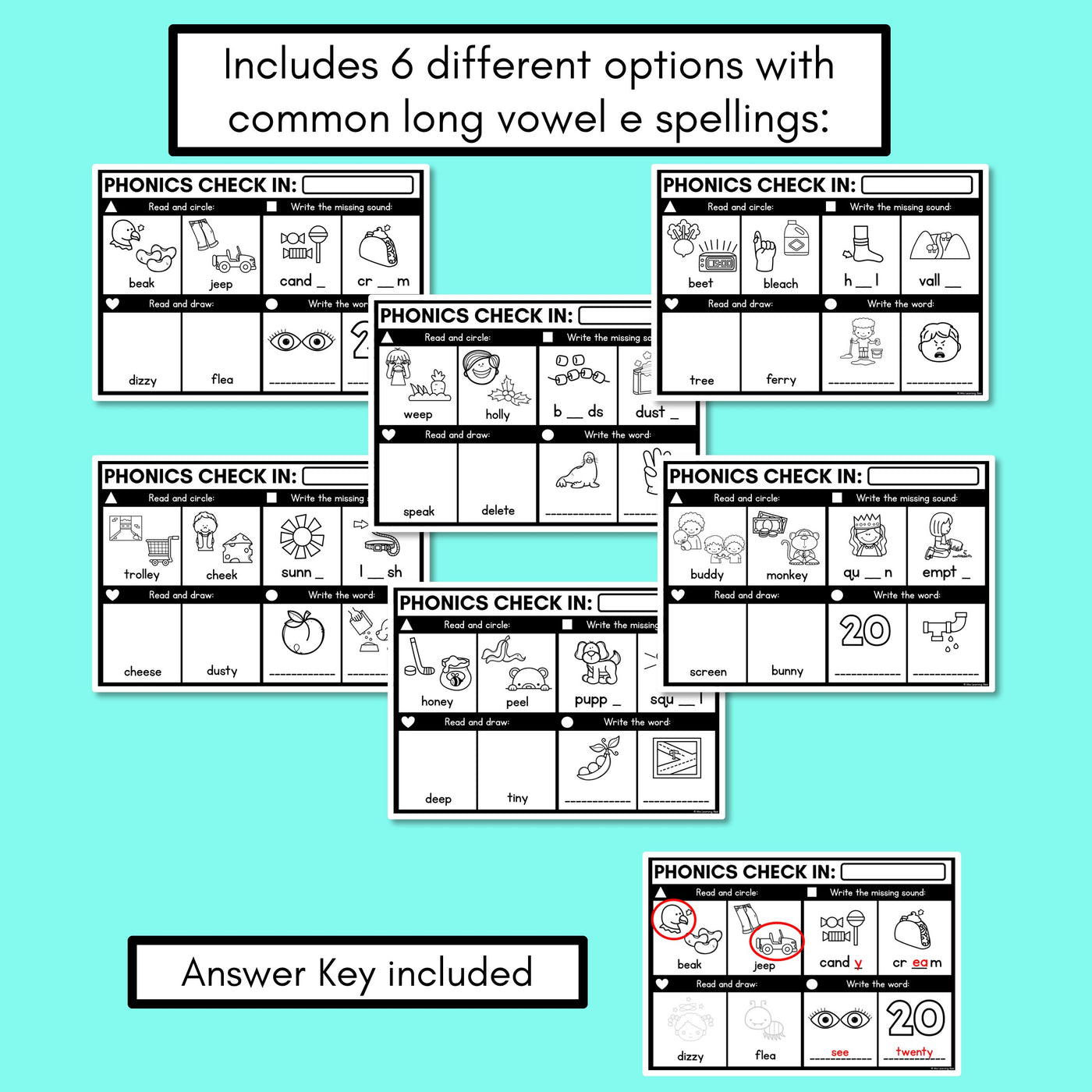 PHONICS CHECK INS - Long Vowel E - No Prep Phonics Assessments