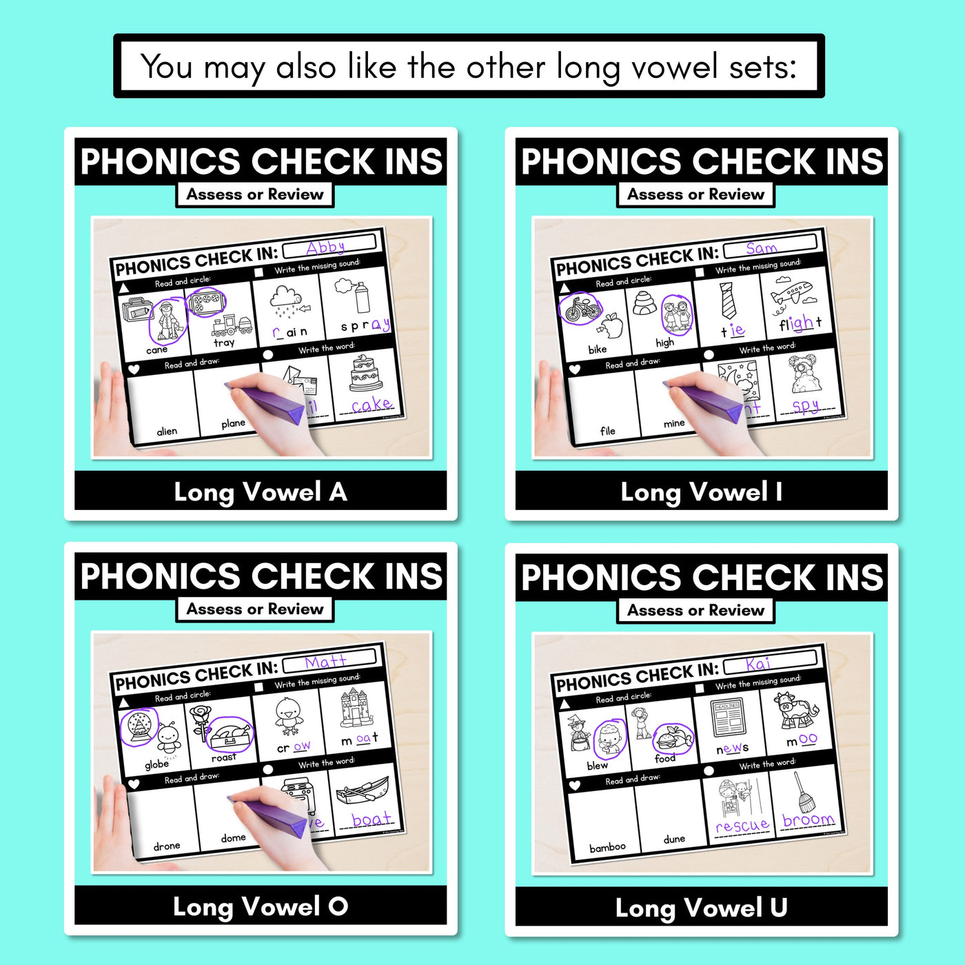 PHONICS CHECK INS - Long Vowel E - No Prep Phonics Assessments