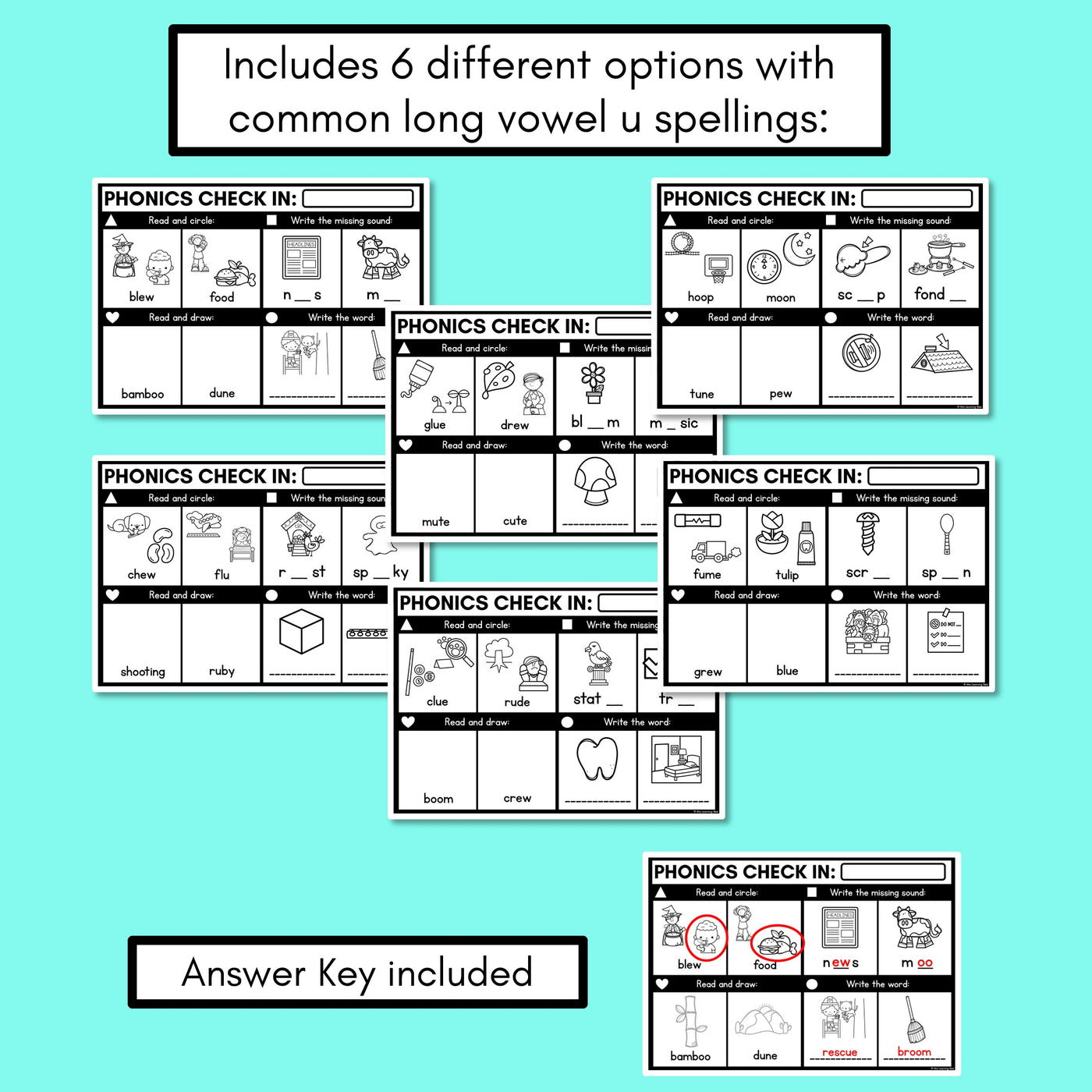 PHONICS CHECK INS - Long Vowel U - No Prep Phonics Assessments