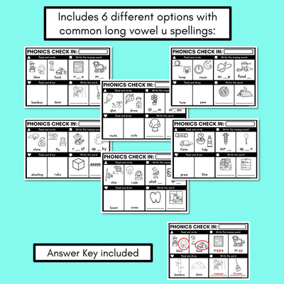 PHONICS CHECK INS - Long Vowel U - No Prep Phonics Assessments