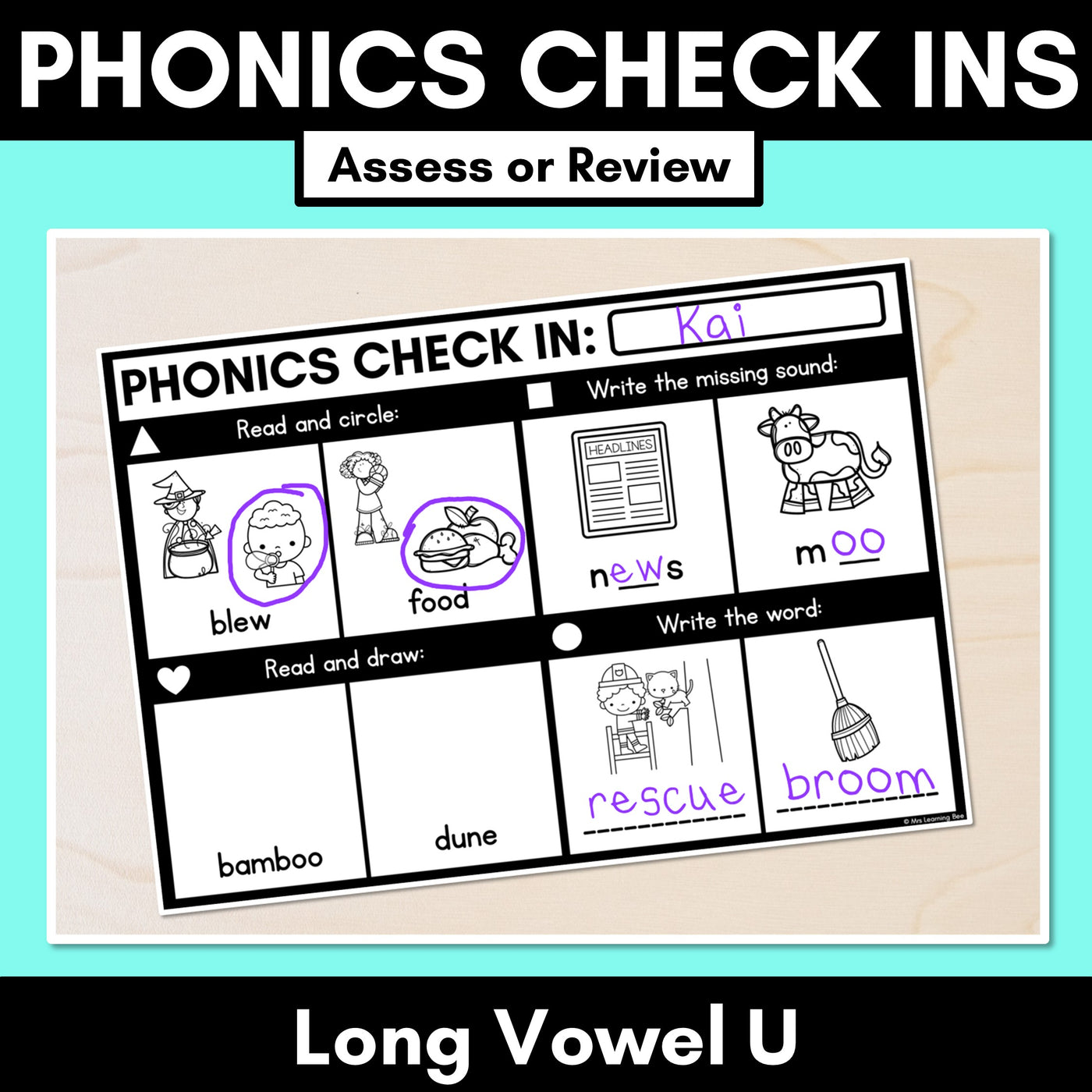 PHONICS CHECK INS - Long Vowel U - No Prep Phonics Assessments