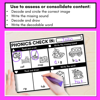 PHONICS CHECK INS - CVC Words & CVCC CCVC Words Set 2 - No Prep Phonics Assessments