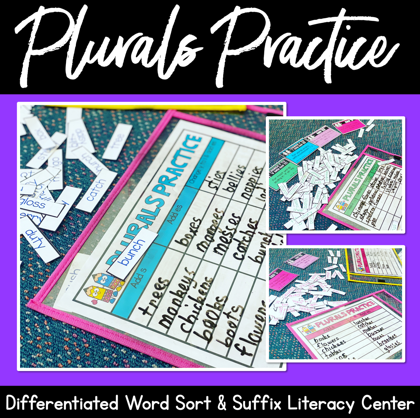 Plural Rule Literacy Center