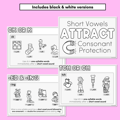 SHORT VOWEL SPELLING POSTERS - Short Vowels Attract Consonant Protection - Spelling Generalisations