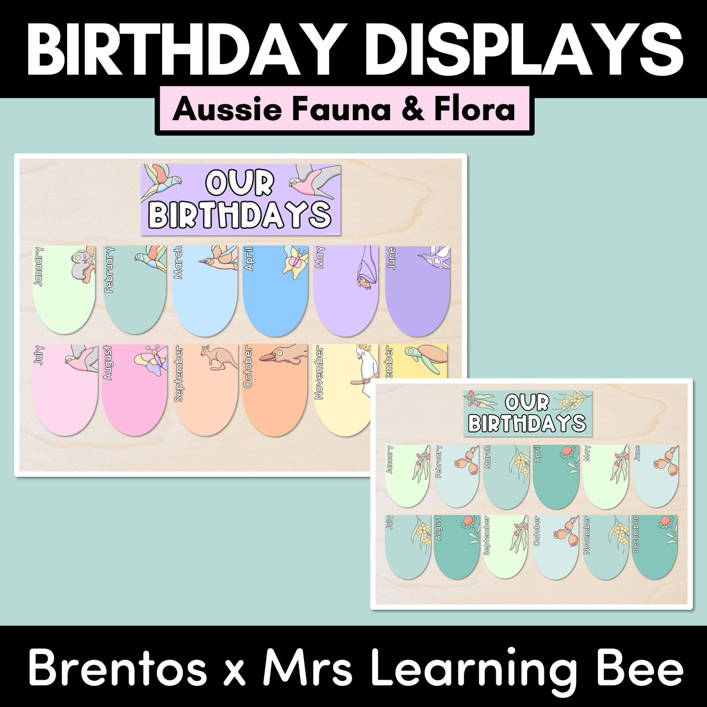 BIRTHDAYS DISPLAYS - The Brentos Collection - Aussie Flora and Fauna