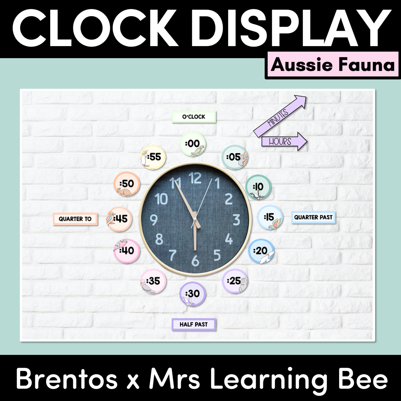 CLOCK DISPLAY - The Brentos Collection - Aussie Fauna
