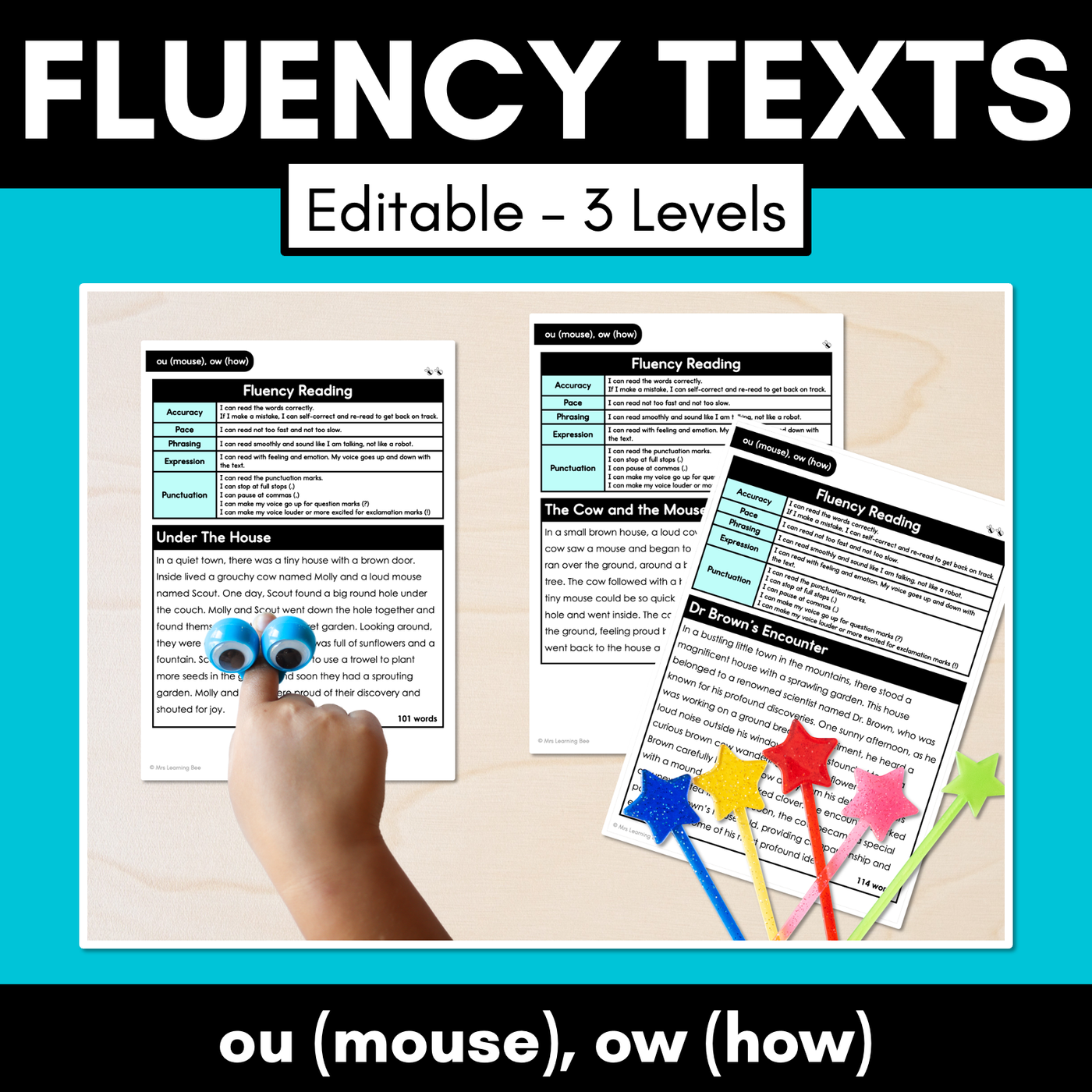 Editable Differentiated Decodable Fluency Texts - ou (mouse), ow (how)