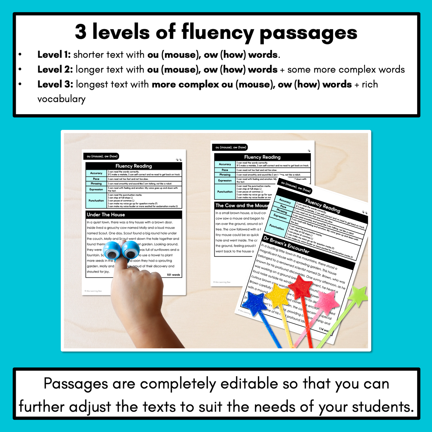 Editable Differentiated Decodable Fluency Texts - ou (mouse), ow (how)