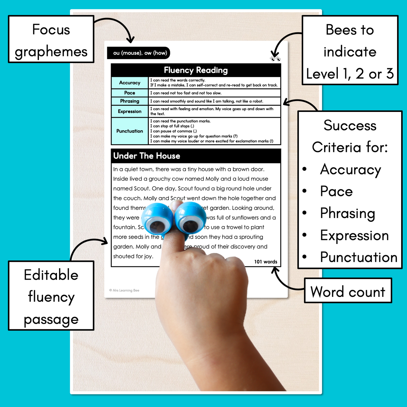 Editable Differentiated Decodable Fluency Texts - ou (mouse), ow (how)