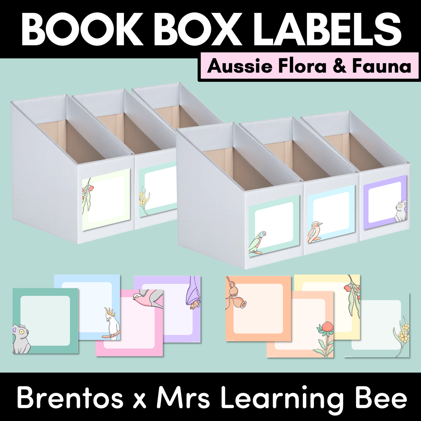BOOK BOX HOLDER EDITABLE LABELS- The Brentos Collection