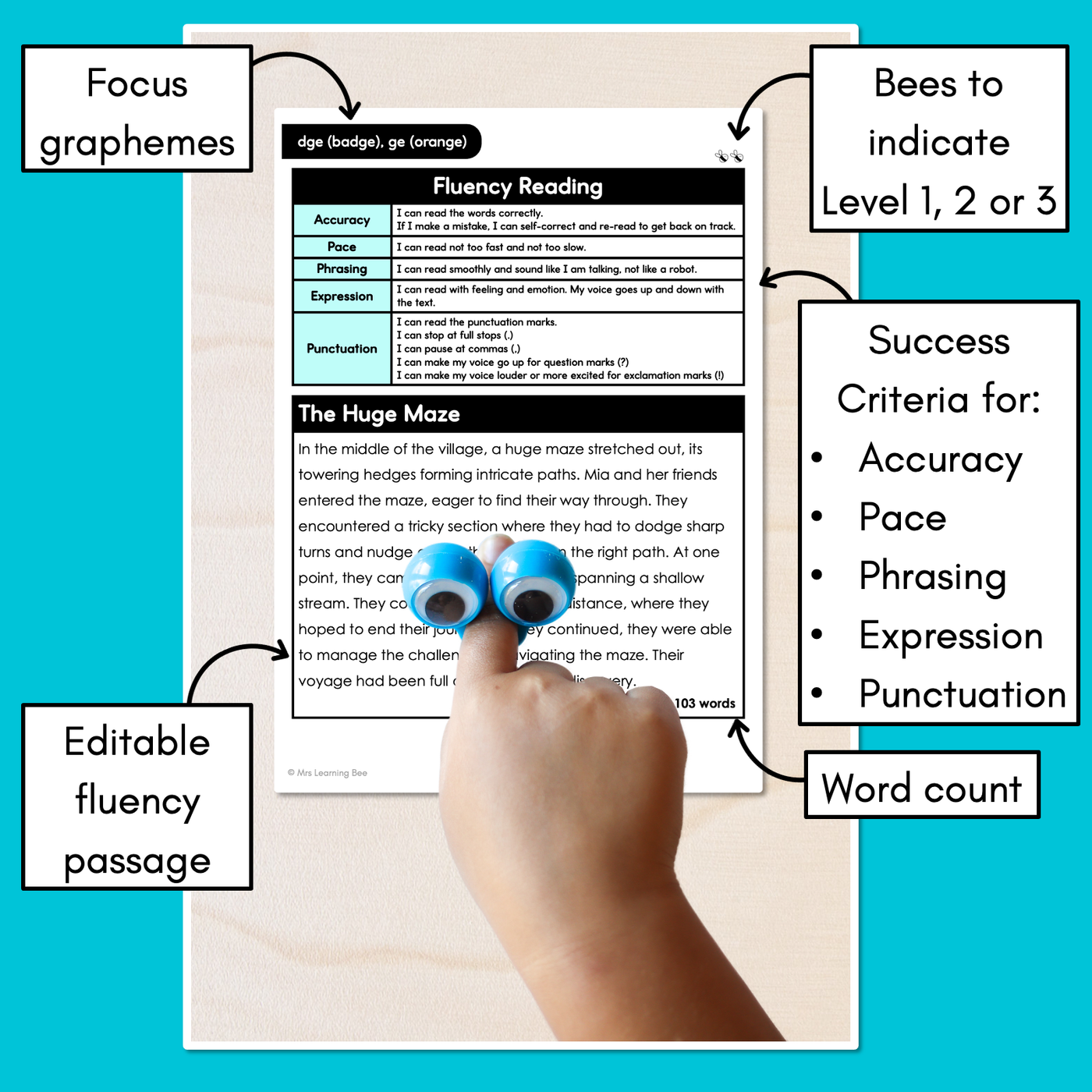 Editable Differentiated Decodable Fluency Texts - dge (badge), ge (orange)