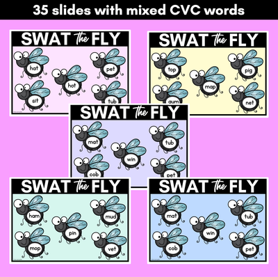FLY SWAT CVC WORD DIGITAL SLIDES - Set 2 - Mixed CVC Words - Digital Phonics