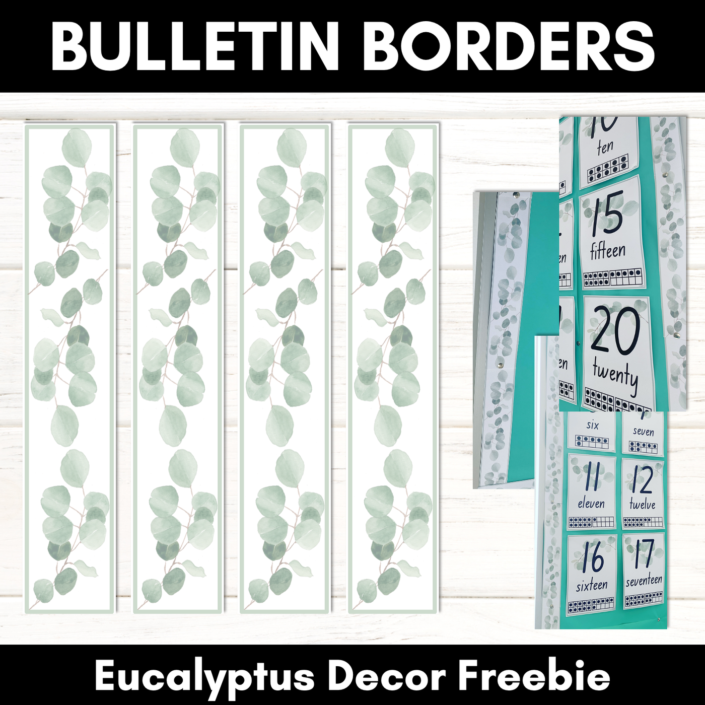 EUCALYPTUS DECOR Bulletin Borders