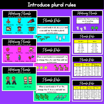 Plural Rule PowerPoint Slides