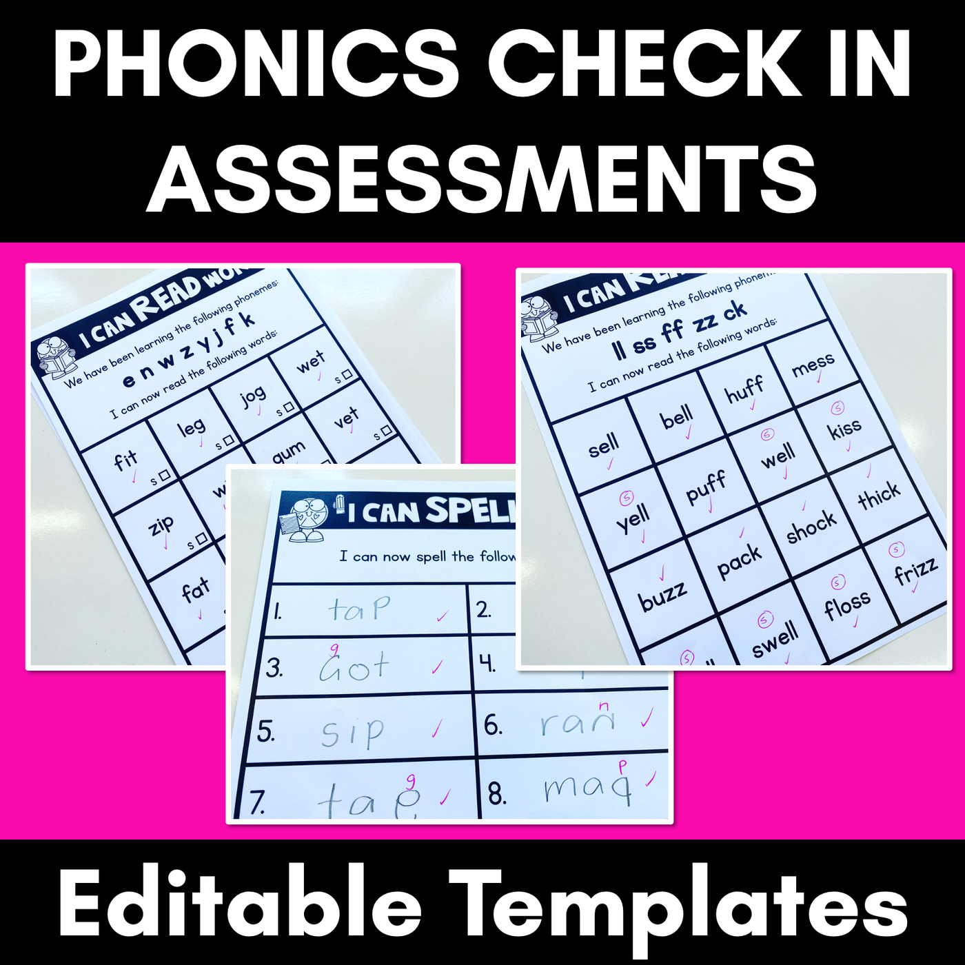Phonics Check In Assessment Templates