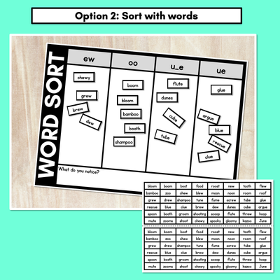 LONG VOWEL U WORD SORT