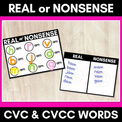 CVC CVCC WORDS GAME - Real or Nonsense?