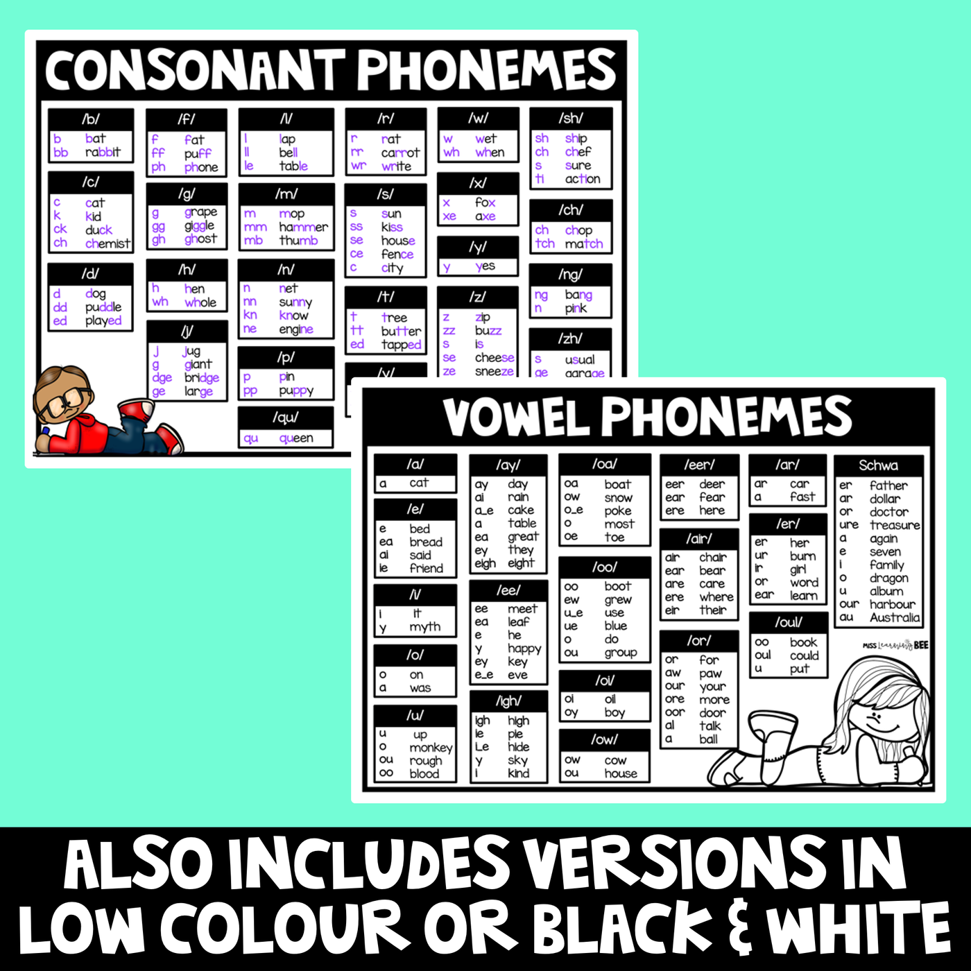 PHONICS CHART FREEBIE | Consonant Sounds & Vowel Sounds