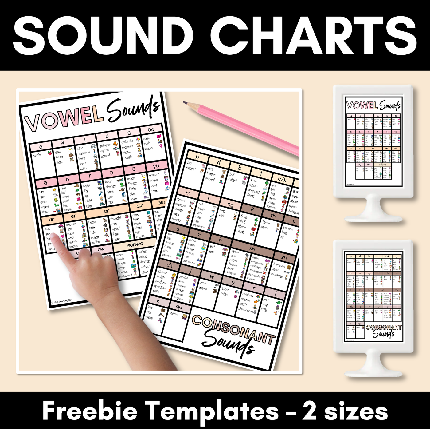 Phonics Sound Charts - NEUTRAL